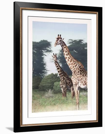 Giraffes of Manyara from the Artist's Africa Portfolio-Dennis Curry-Framed Collectable Print