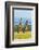 Giraffes on the savanna, Murchison Falls National park, Uganda-Keren Su-Framed Photographic Print