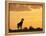 Giraffes, Silhouetted at Sunset, Etosha National Park, Namibia, Africa-Ann & Steve Toon-Framed Premier Image Canvas