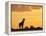 Giraffes, Silhouetted at Sunset, Etosha National Park, Namibia, Africa-Ann & Steve Toon-Framed Premier Image Canvas