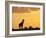 Giraffes, Silhouetted at Sunset, Etosha National Park, Namibia, Africa-Ann & Steve Toon-Framed Photographic Print