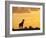 Giraffes, Silhouetted at Sunset, Etosha National Park, Namibia, Africa-Ann & Steve Toon-Framed Photographic Print