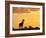 Giraffes, Silhouetted at Sunset, Etosha National Park, Namibia, Africa-Ann & Steve Toon-Framed Photographic Print