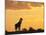 Giraffes, Silhouetted at Sunset, Etosha National Park, Namibia, Africa-Ann & Steve Toon-Mounted Photographic Print