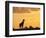 Giraffes, Silhouetted at Sunset, Etosha National Park, Namibia, Africa-Ann & Steve Toon-Framed Photographic Print