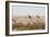 Giraffes, Springbok, Oryx Among Others in Etosha National Park, Namibia, by a Watering Hole-Alex Saberi-Framed Photographic Print