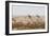 Giraffes, Springbok, Oryx Among Others in Etosha National Park, Namibia, by a Watering Hole-Alex Saberi-Framed Photographic Print