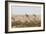 Giraffes, Springbok, Oryx Among Others in Etosha National Park, Namibia, by a Watering Hole-Alex Saberi-Framed Photographic Print