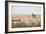 Giraffes, Springbok, Oryx Among Others in Etosha National Park, Namibia, by a Watering Hole-Alex Saberi-Framed Photographic Print