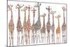 Giraffes-Milovelen-Mounted Art Print