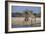 Giraffes-Peter Chadwick-Framed Photographic Print