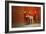 Giraffes-yuran-78-Framed Photographic Print