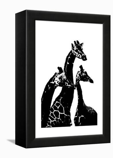 Giraffes-Alex Cherry-Framed Stretched Canvas