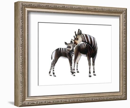 Giraffokeryx-null-Framed Photographic Print