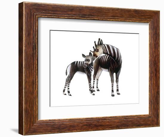 Giraffokeryx-null-Framed Photographic Print