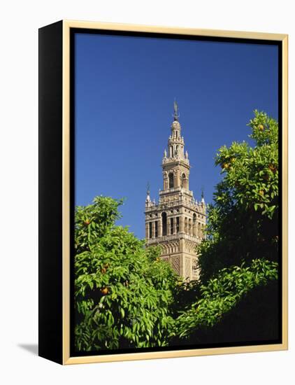 Giralda Framed by Orange Trees, Seville, Andalucia, Spain, Europe-Tomlinson Ruth-Framed Premier Image Canvas