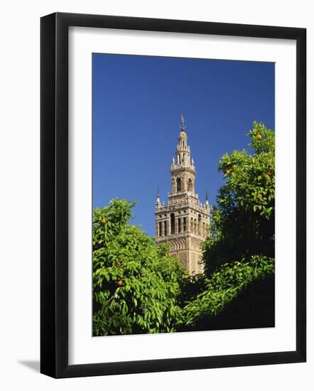 Giralda Framed by Orange Trees, Seville, Andalucia, Spain, Europe-Tomlinson Ruth-Framed Photographic Print