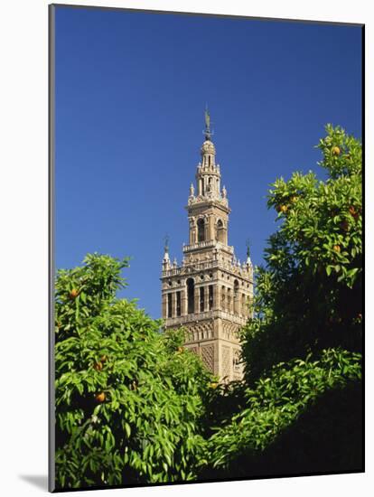 Giralda Framed by Orange Trees, Seville, Andalucia, Spain, Europe-Tomlinson Ruth-Mounted Photographic Print