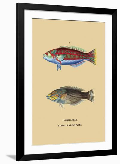 Art Print, , large