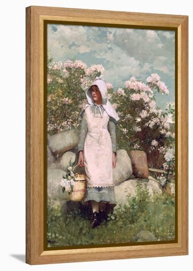 Girl and Laurel, 1879-Winslow Homer-Framed Premier Image Canvas