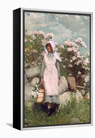 Girl and Laurel, 1879-Winslow Homer-Framed Premier Image Canvas