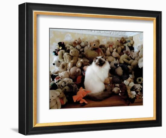 Girl and the Teddy Bears Picnic, 2022, (Photograph)-Vincent Alexander Booth-Framed Giclee Print