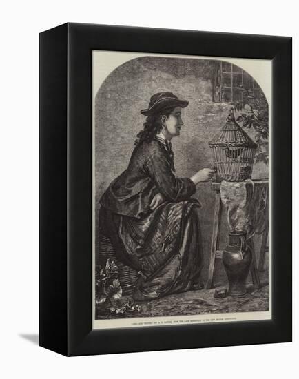 Girl and Thrush-null-Framed Premier Image Canvas