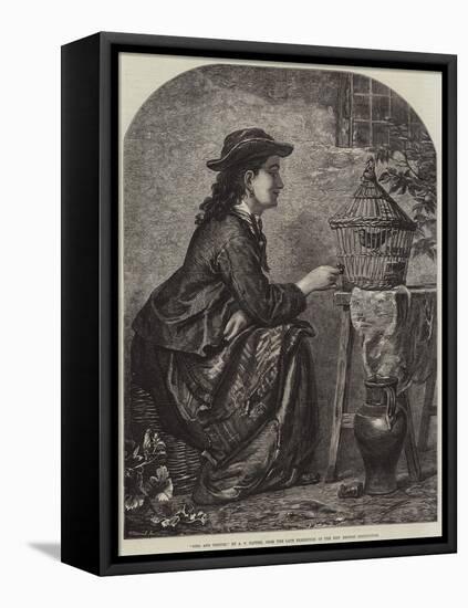 Girl and Thrush-null-Framed Premier Image Canvas