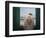 Girl, Back View, Tuscany, 2012-Lincoln Seligman-Framed Giclee Print