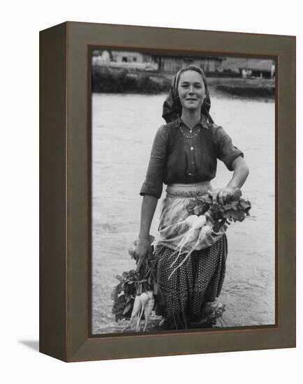 Girl Farm Worker Washing Turnips from River, on Collective Farm-Paul Schutzer-Framed Premier Image Canvas