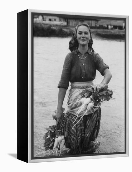 Girl Farm Worker Washing Turnips from River, on Collective Farm-Paul Schutzer-Framed Premier Image Canvas