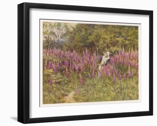 Girl Gathering Sticks in Kent Walks Through a Mass of Foxgloves-Helen Allingham-Framed Art Print