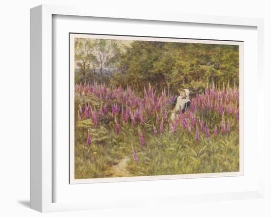 Girl Gathering Sticks in Kent Walks Through a Mass of Foxgloves-Helen Allingham-Framed Art Print