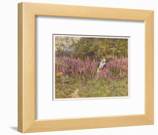 Girl Gathering Sticks in Kent Walks Through a Mass of Foxgloves-Helen Allingham-Framed Art Print