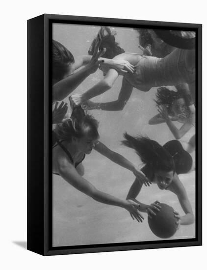 Girl Getting Her Hair Pulled as Swimmers Play a Fast Scrimmage of Water Polo at Athletic Club-Peter Stackpole-Framed Premier Image Canvas