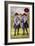 Girl Guide Ambulance Badge, 1923-English School-Framed Giclee Print