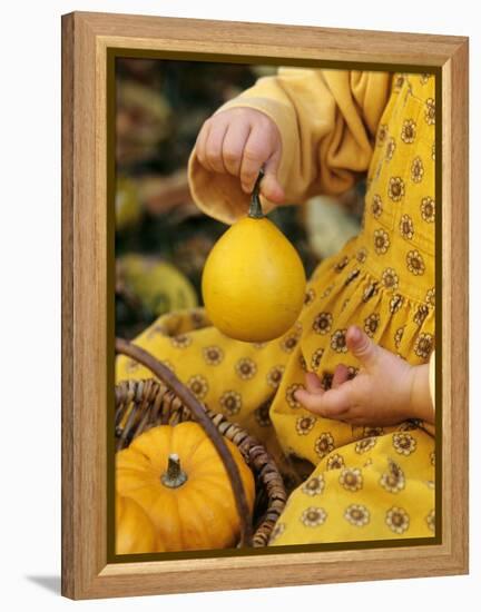 Girl Holding a Baby Pumpkin-Alena Hrbkova-Framed Premier Image Canvas
