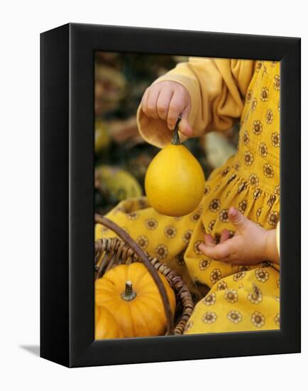 Girl Holding a Baby Pumpkin-Alena Hrbkova-Framed Premier Image Canvas