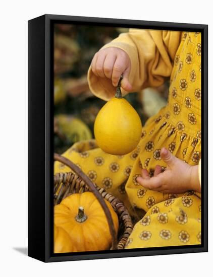 Girl Holding a Baby Pumpkin-Alena Hrbkova-Framed Premier Image Canvas