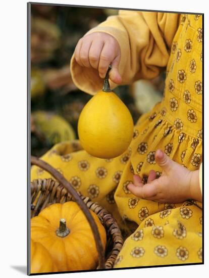 Girl Holding a Baby Pumpkin-Alena Hrbkova-Mounted Photographic Print