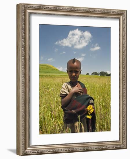 Girl Holding Yellow Meskel Flowers in a Fertile Green Wheat Field after the Rains-Gavin Hellier-Framed Photographic Print