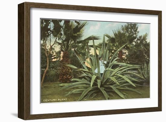 Girl in Agave-null-Framed Premium Giclee Print