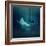 Girl in Dress Flying in the Fog.-Dmitry Laudin-Framed Photographic Print