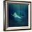 Girl in Dress Flying in the Fog.-Dmitry Laudin-Framed Photographic Print