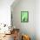 Girl In Green-John Gusky-Framed Premier Image Canvas displayed on a wall