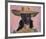 Girl in Hat-Boscoe Holder-Framed Premium Giclee Print