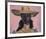 Girl in Hat-Boscoe Holder-Framed Premium Giclee Print