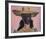 Girl in Hat-Boscoe Holder-Framed Premium Giclee Print