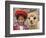 Girl in Native Dress with Baby Alpaca, Sacsayhuaman Inca Ruins, Cusco, Peru-Dennis Kirkland-Framed Photographic Print