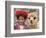 Girl in Native Dress with Baby Alpaca, Sacsayhuaman Inca Ruins, Cusco, Peru-Dennis Kirkland-Framed Photographic Print